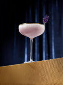 Gin Sour